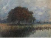 Alexander John Drysdale Oak on the Lower Coast of the Mississippi oil painting